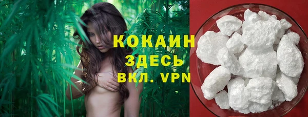 молекула духа Белокуриха