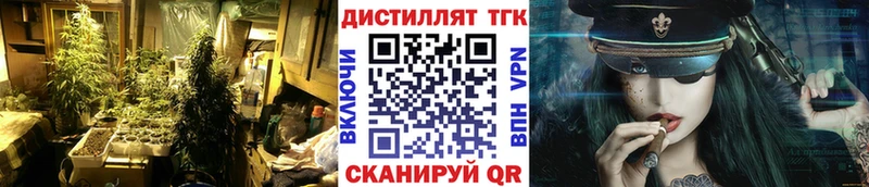 Купить где  Кушва  ТГК концентрат 